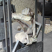 Pillars of Witness 4