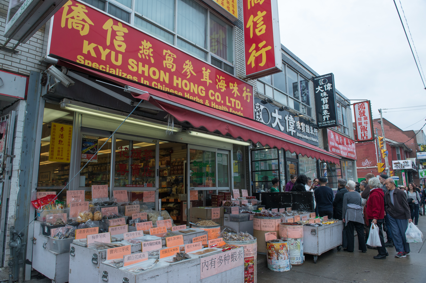 Randy Lee Cutler, 2016, SaltWalks: Toronto