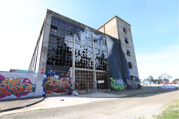 Photo of artist painting on wall.