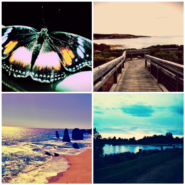 Four images highlighting different shades of blue. Image 1 a butterfly, image 2 a seaside boardwalk, image 3 a coastline and image 4 a lake