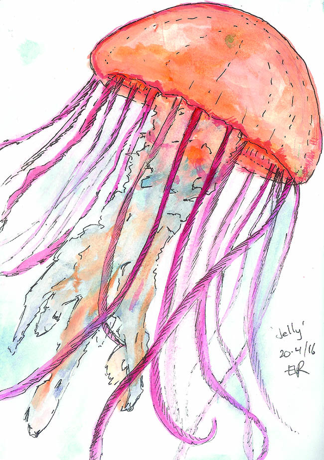 Drawing of pink and orange jellyfish.
